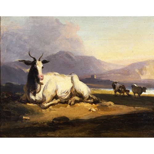 A goat sitting in a mountainous river landscape with cattle beyond 